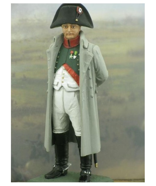 front image Napoleon year 1810 - historical miniatures