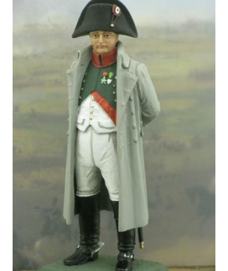 front image Napoleon year 1810 - historical miniatures