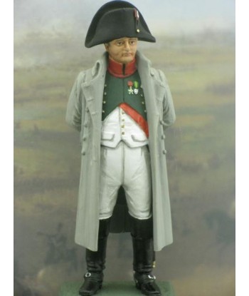 Napoleon year 1810 - historical miniatures