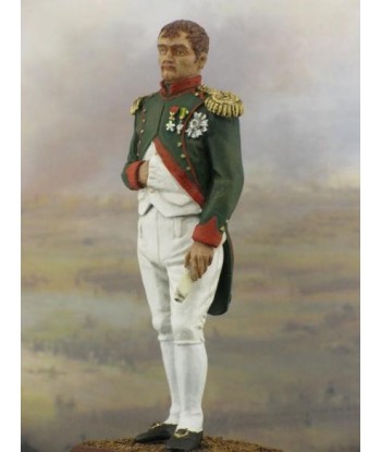 front image Napoleon. Year 1805