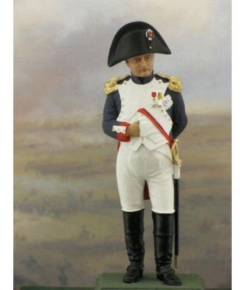 Napoleon in 1st grenadier reg.uniform.