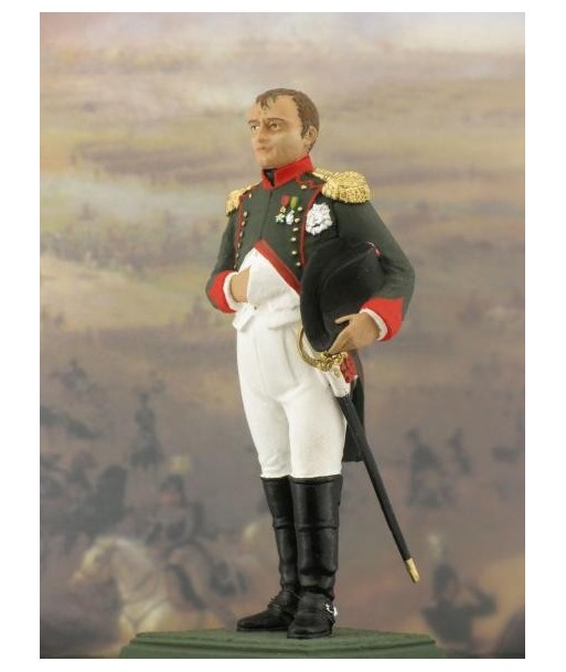 front image Napoleon in Chasseur-Cheval reg. uniform.