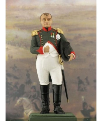 Napoleon in Chasseur-Cheval reg. uniform.