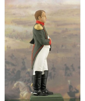 Napoleon in Chasseur-Cheval reg. uniform.