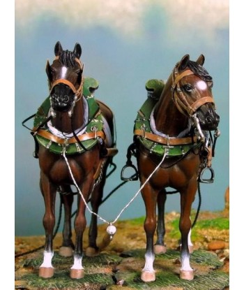 front image Pair of horse