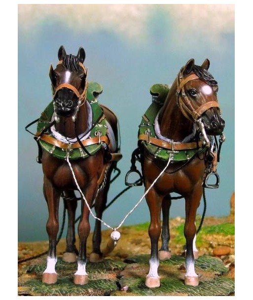 front image Pair of horse