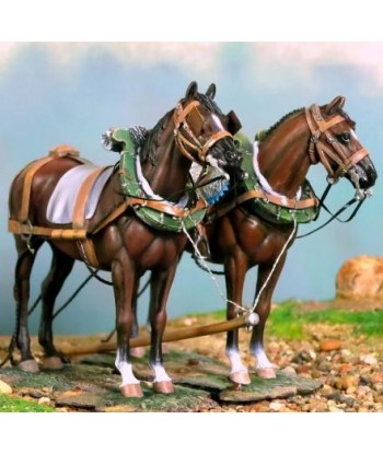 Pair of horse