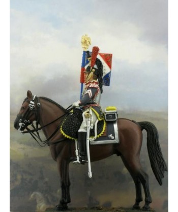 7 reg. Standard-bearer.Year 1810-1812