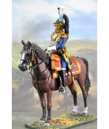 The general of cuirassiers