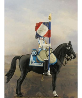 Standard-bearer.Year 1810-1812