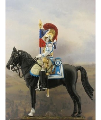 Standard-bearer.Year 1810-1812