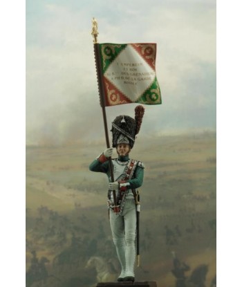 Standard bearer. Year 1810