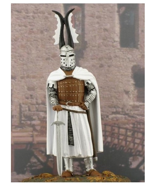 front image Teutonic knight