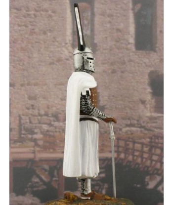 Teutonic knight