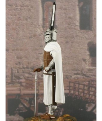 Teutonic knight